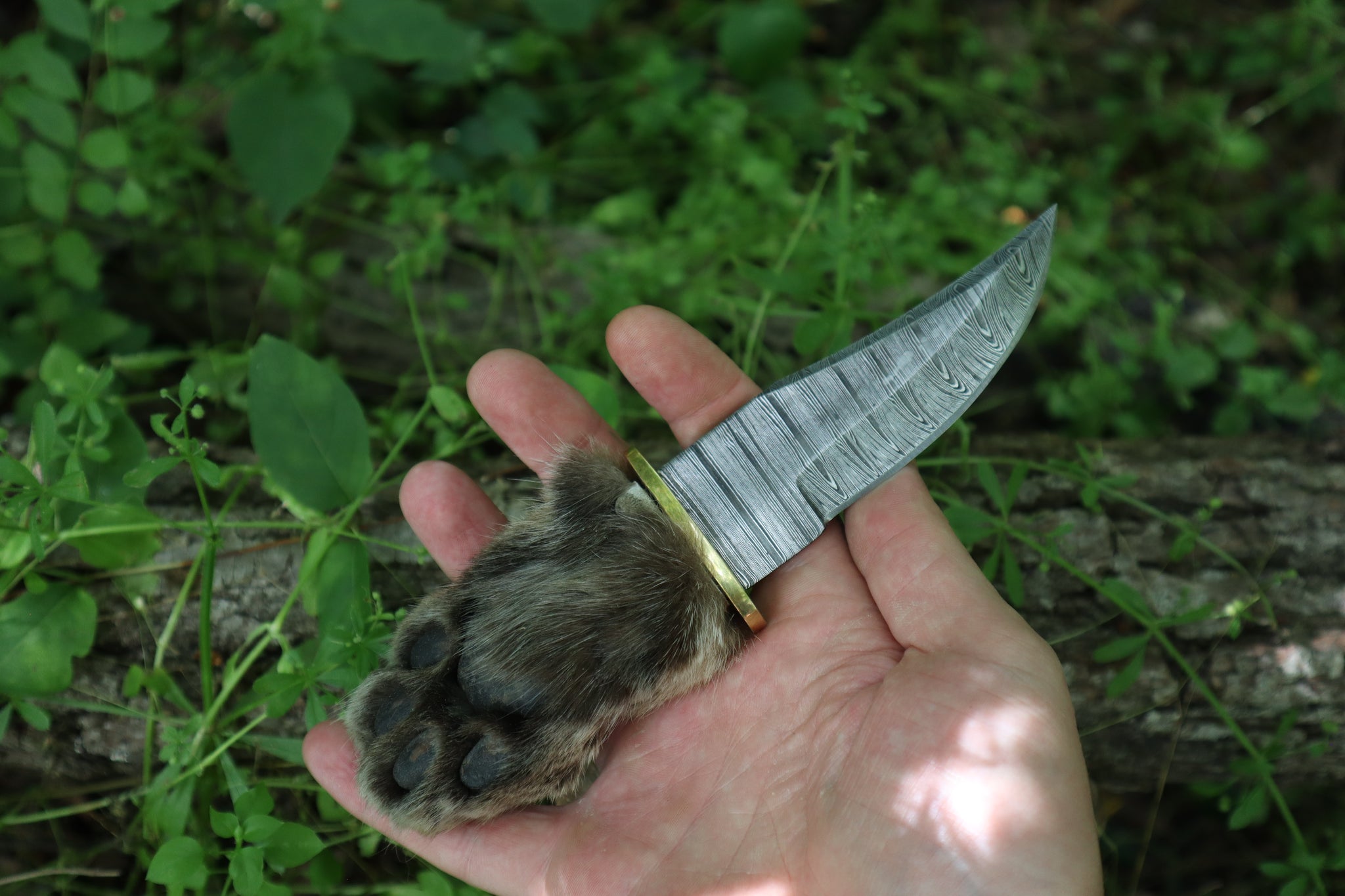 Damascus Bobcat Paw Knife