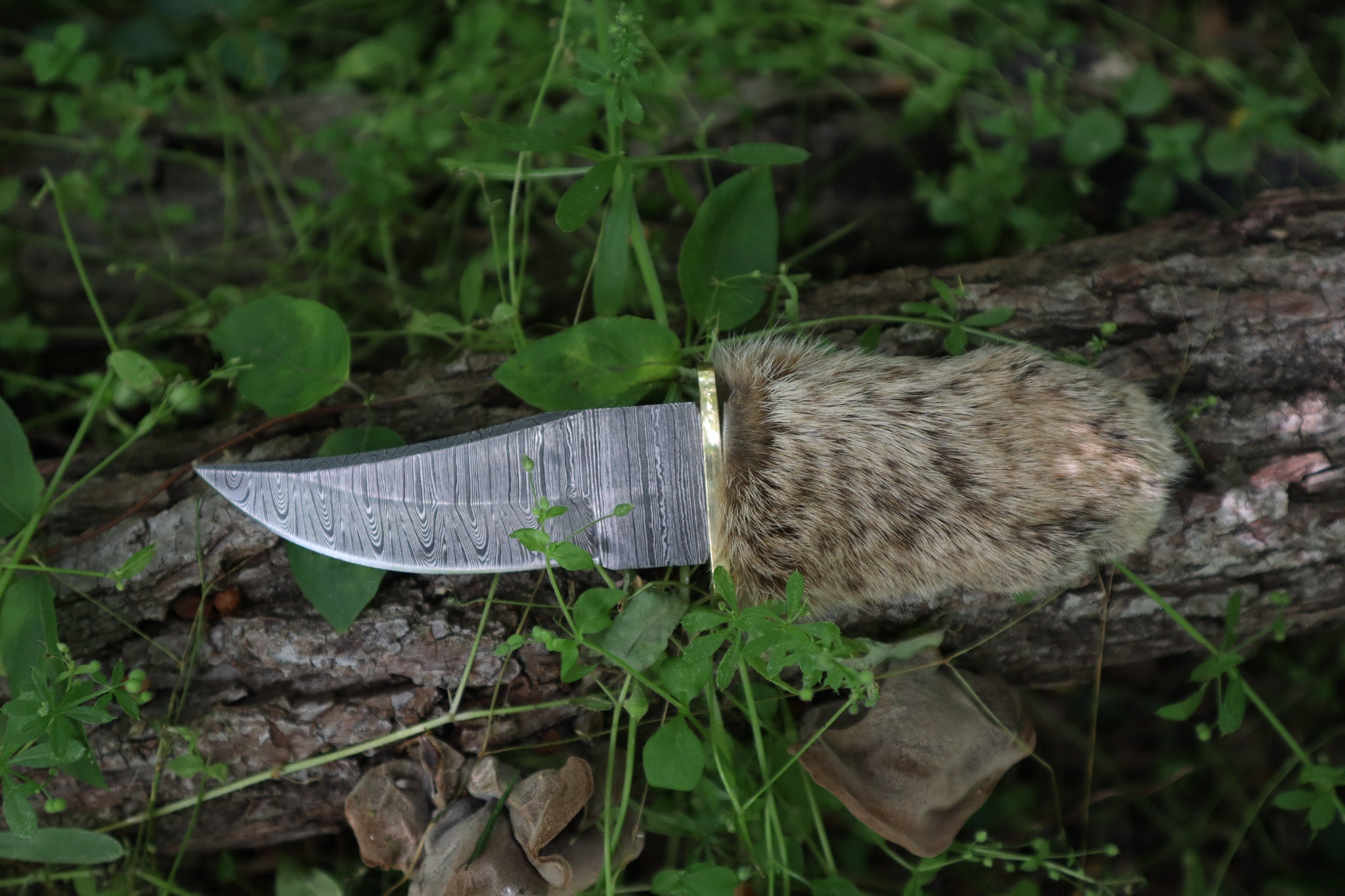 Damascus Bobcat Paw Knife