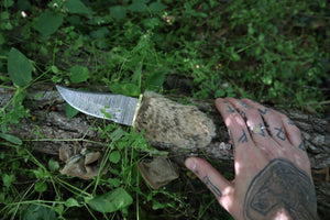 Damascus Bobcat Paw Knife
