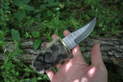 Damascus Bobcat Paw Knife
