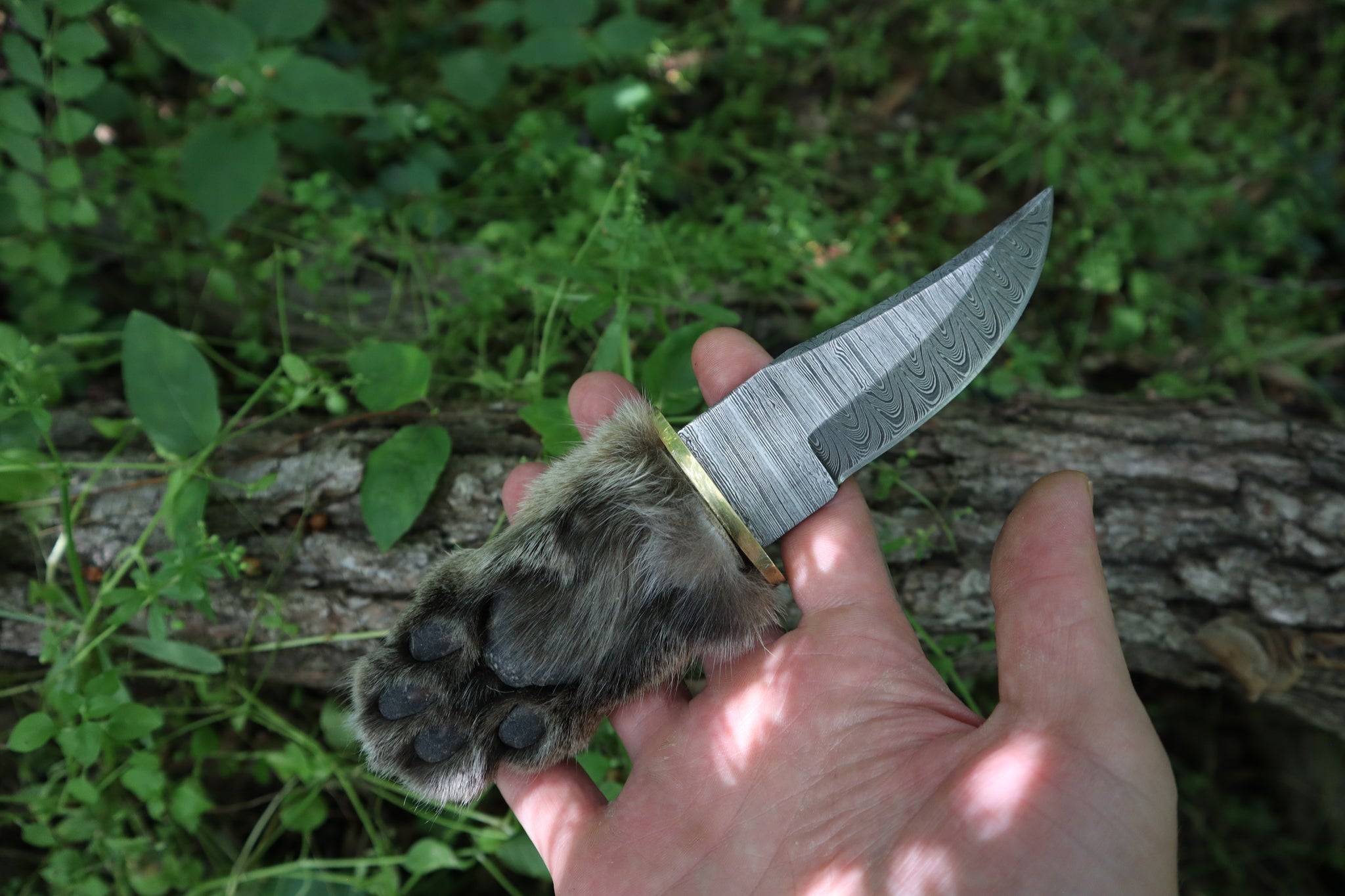 Damascus Bobcat Paw Knife