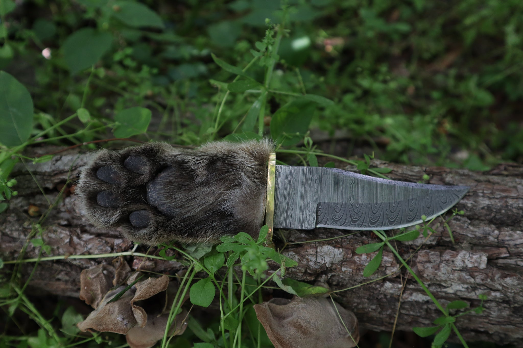 Damascus Bobcat Paw Knife
