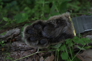 Damascus Bobcat Paw Knife