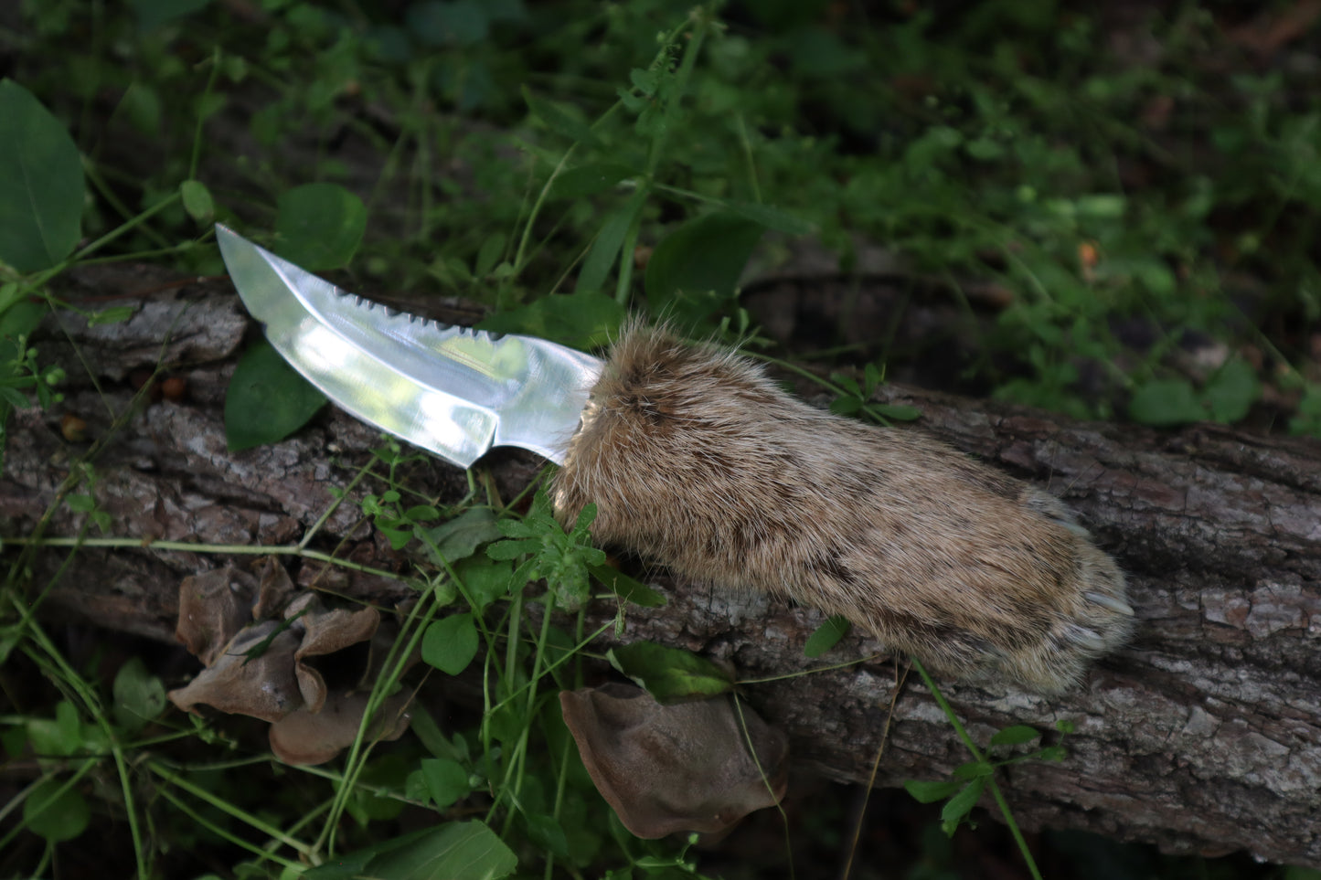 Bobcat Paw Knife with Leather Sheath