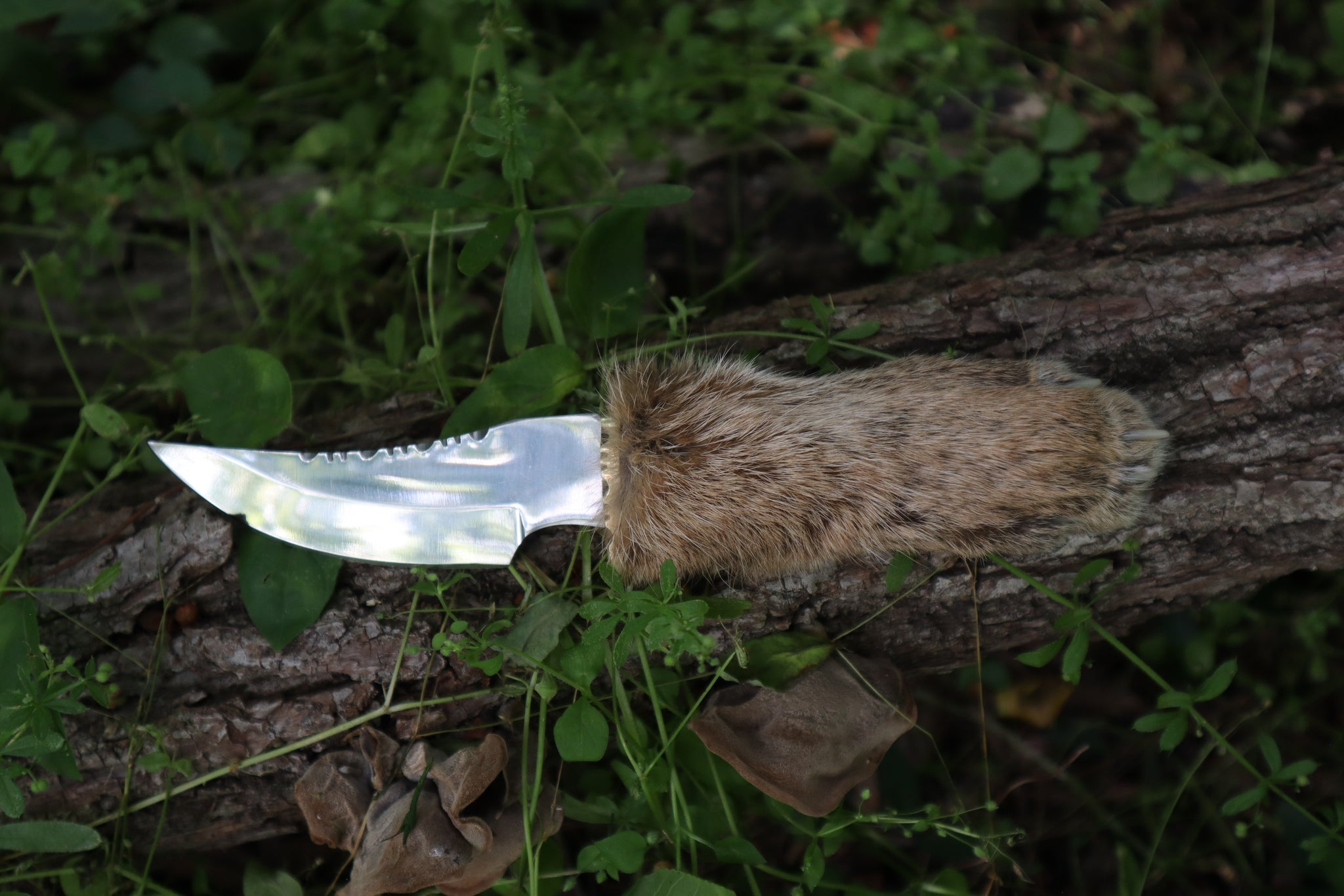 Bobcat Paw Knife with Leather Sheath