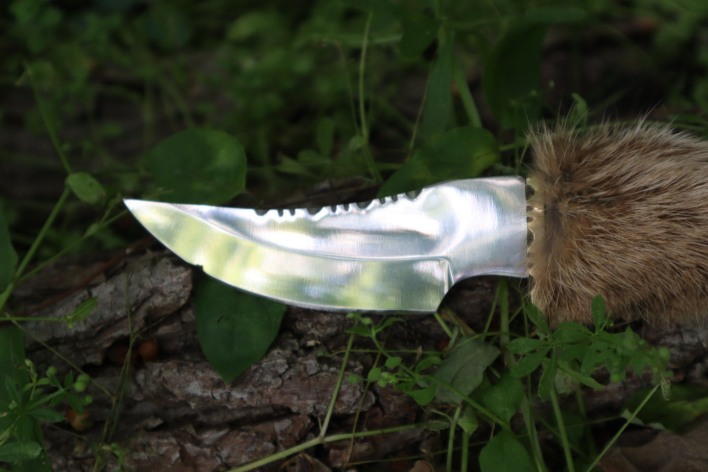 Bobcat Paw Knife with Leather Sheath