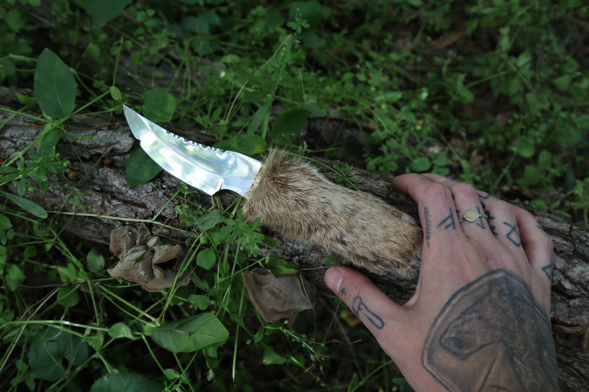 Bobcat Paw Knife with Leather Sheath