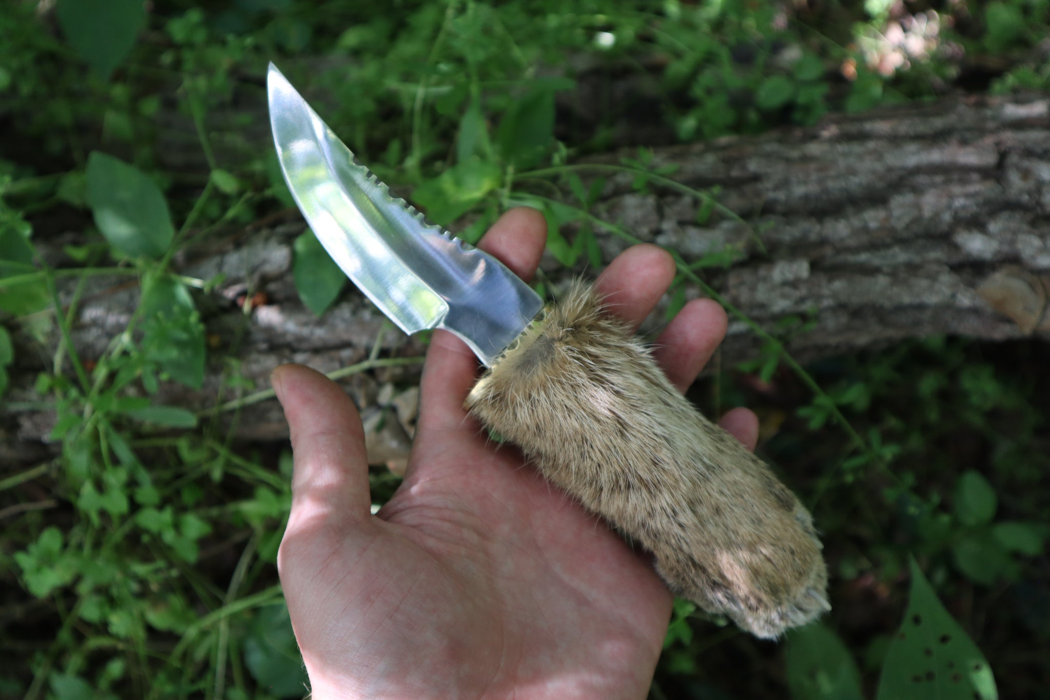 Bobcat Paw Knife with Leather Sheath