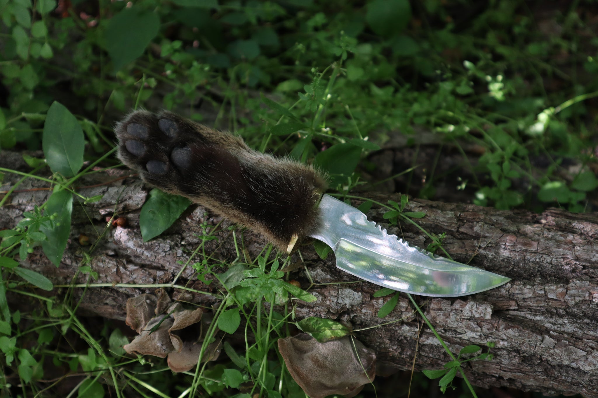 Bobcat Paw Knife with Leather Sheath