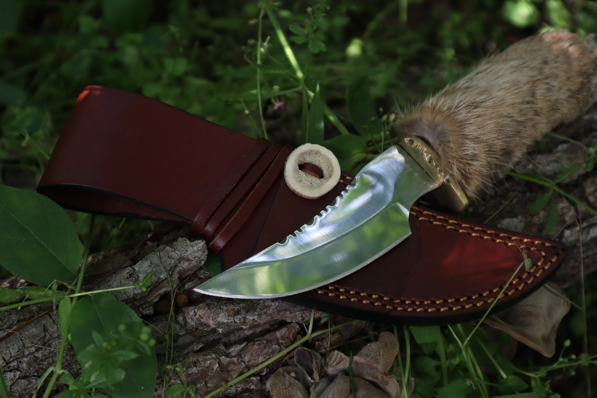 Bobcat Paw Knife with Leather Sheath