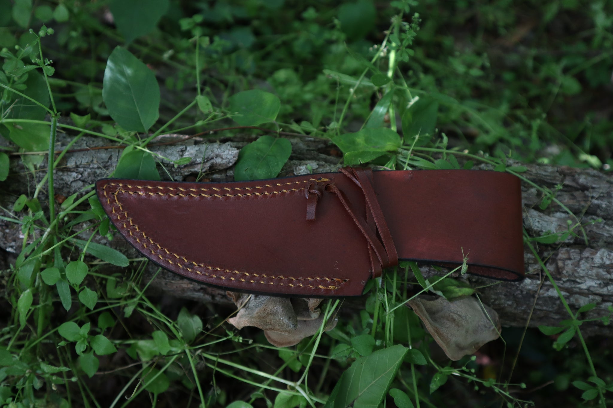 Bobcat Paw Knife with Leather Sheath