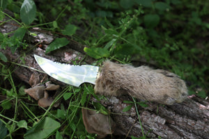 Bobcat Paw Knife with Leather Sheath