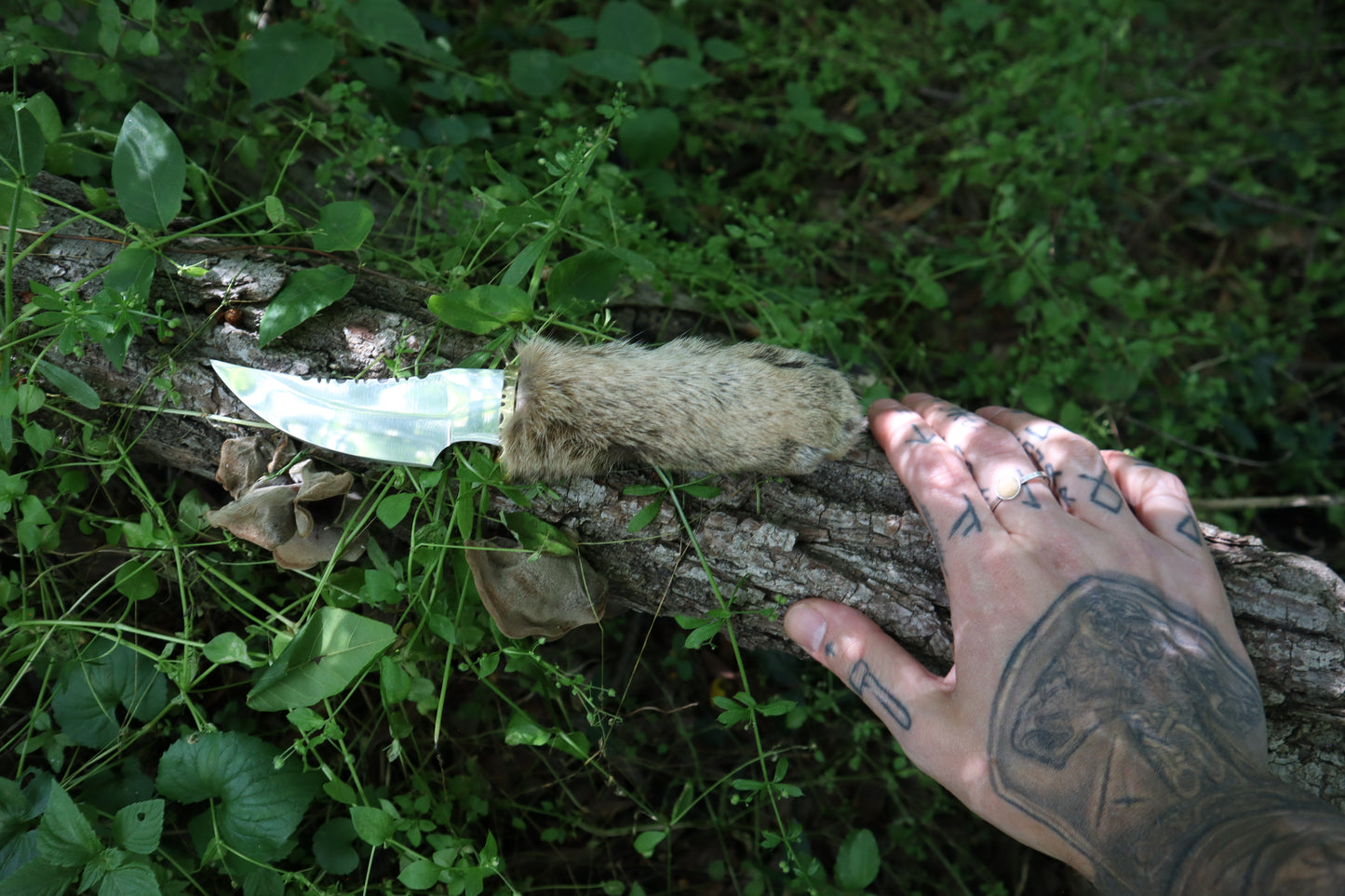 Bobcat Paw Knife with Leather Sheath