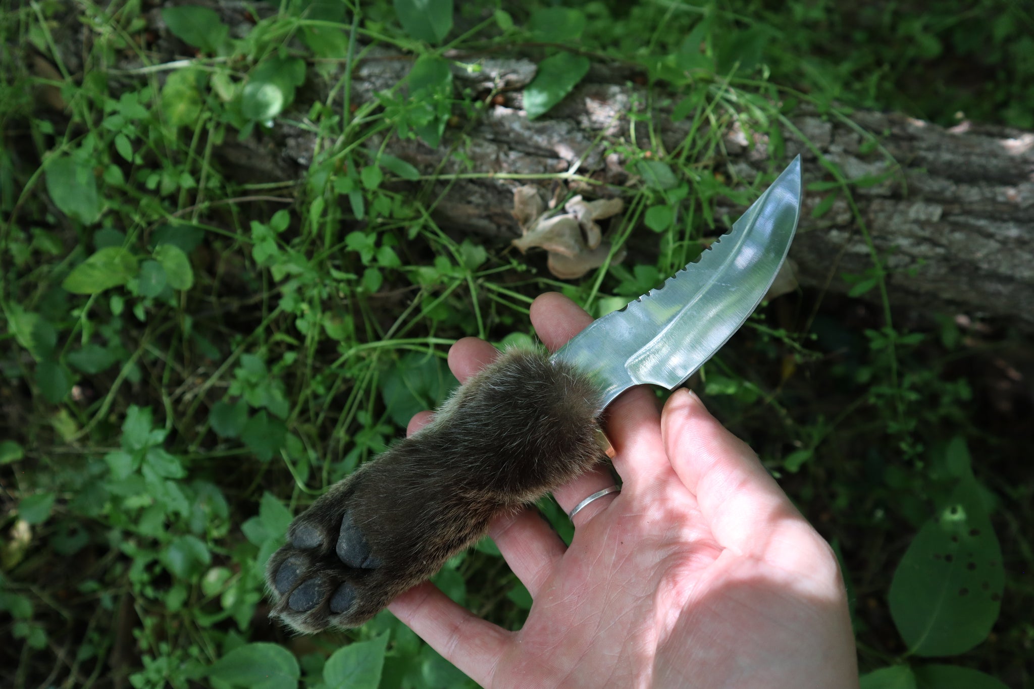 Bobcat Paw Knife with Leather Sheath