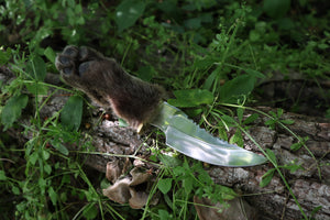 Bobcat Paw Knife with Leather Sheath