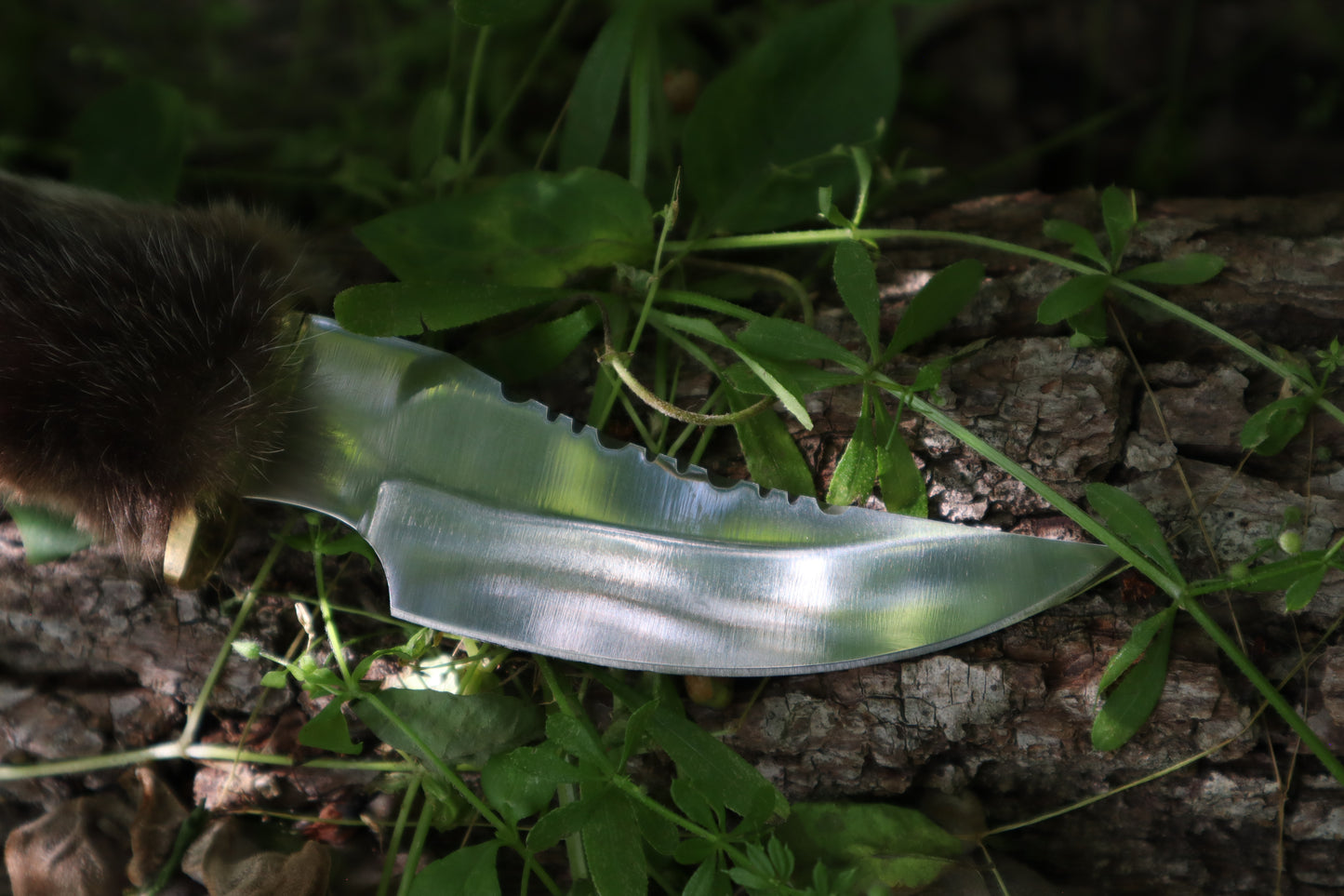 Bobcat Paw Knife with Leather Sheath