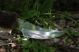 Bobcat Paw Knife with Leather Sheath