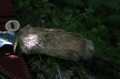 Bobcat Paw Knife with Leather Sheath