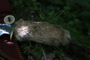 Bobcat Paw Knife with Leather Sheath