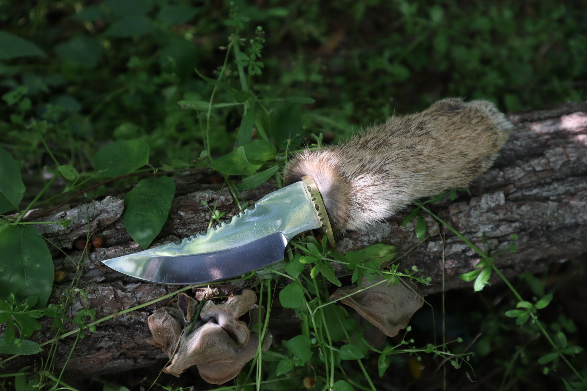 Bobcat Paw Knife with Leather Sheath
