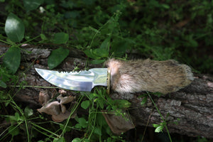 Bobcat Paw Knife with Leather Sheath