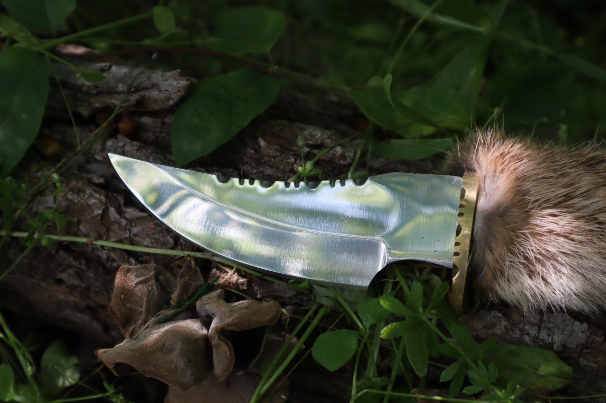 Bobcat Paw Knife with Leather Sheath