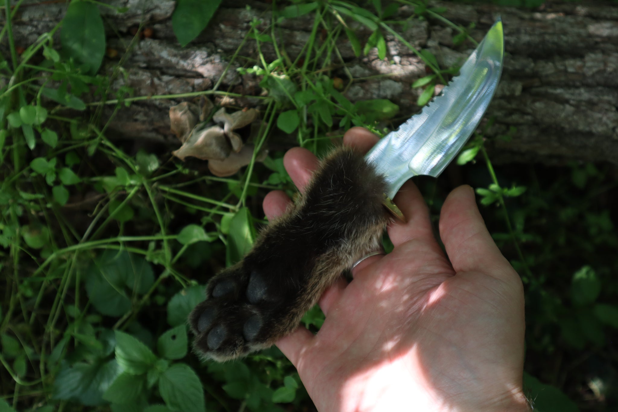 Bobcat Paw Knife with Leather Sheath