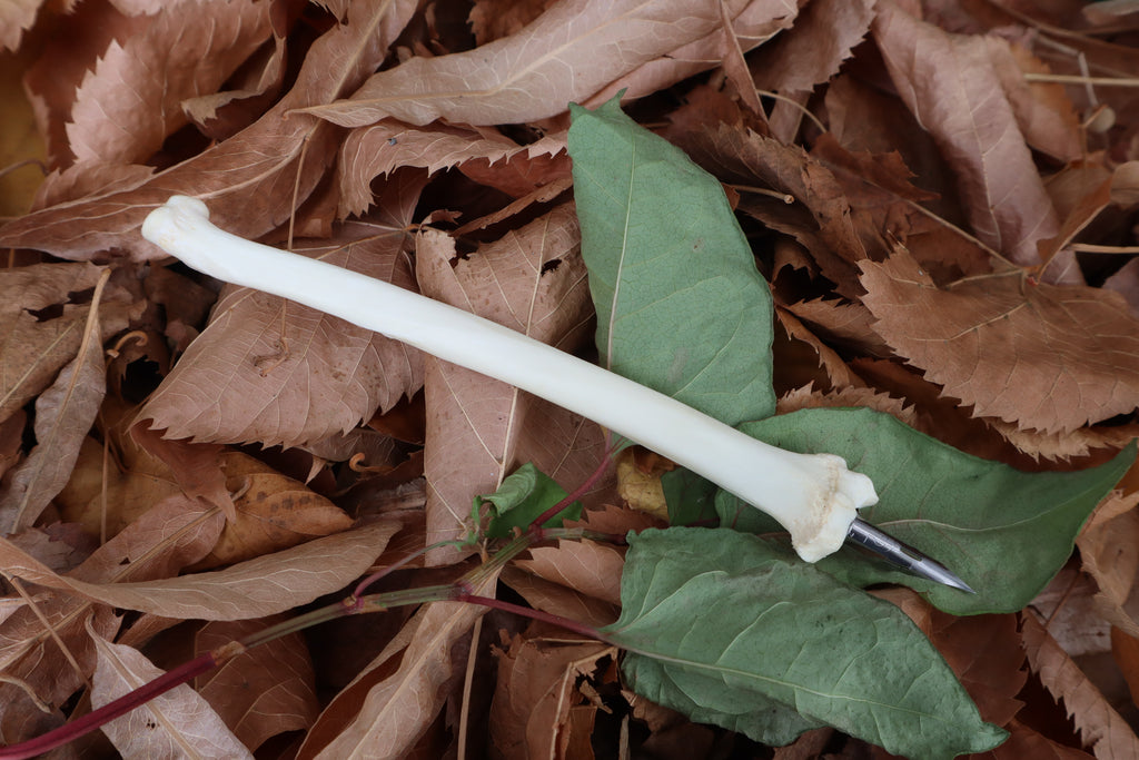 Bobcat Bone Calligraphy Pen