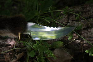Bobcat Paw Knife with Leather Sheath