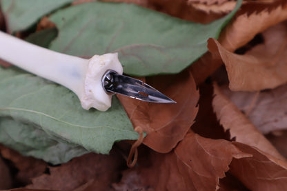 Bobcat Bone Calligraphy Pen