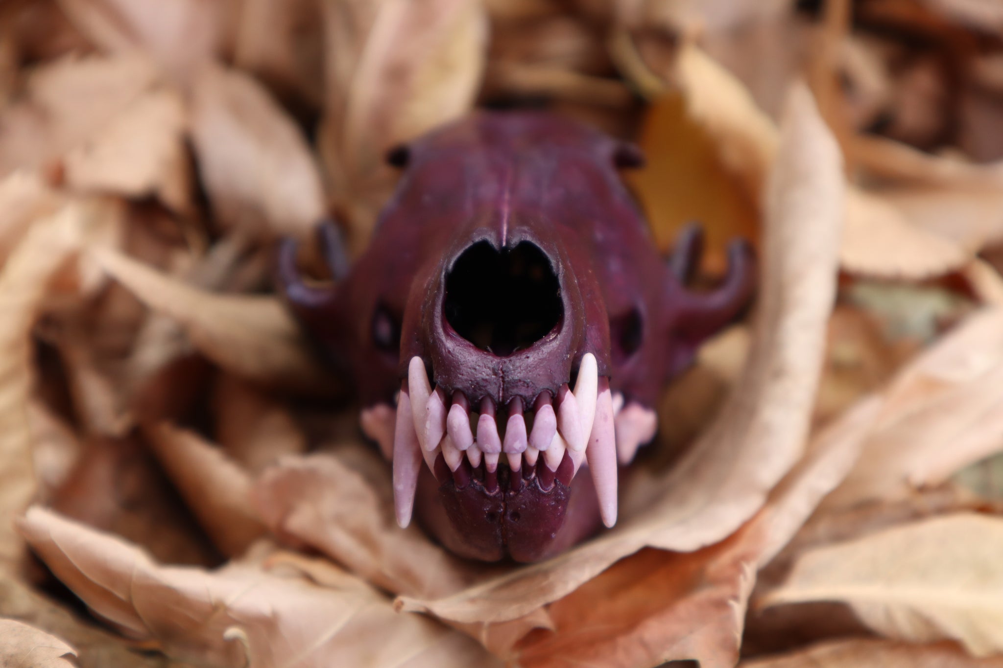 Etheric Violet Red Fox Skull