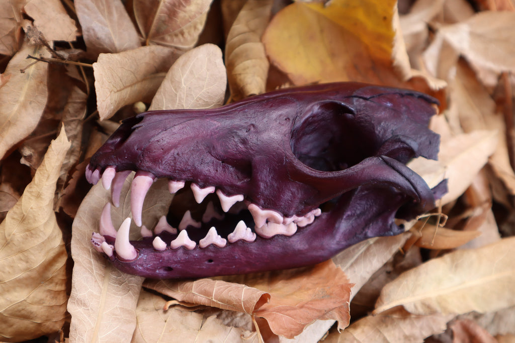 Etheric Violet Red Fox Skull