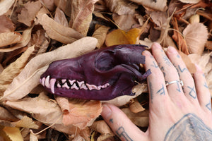 Etheric Violet Red Fox Skull