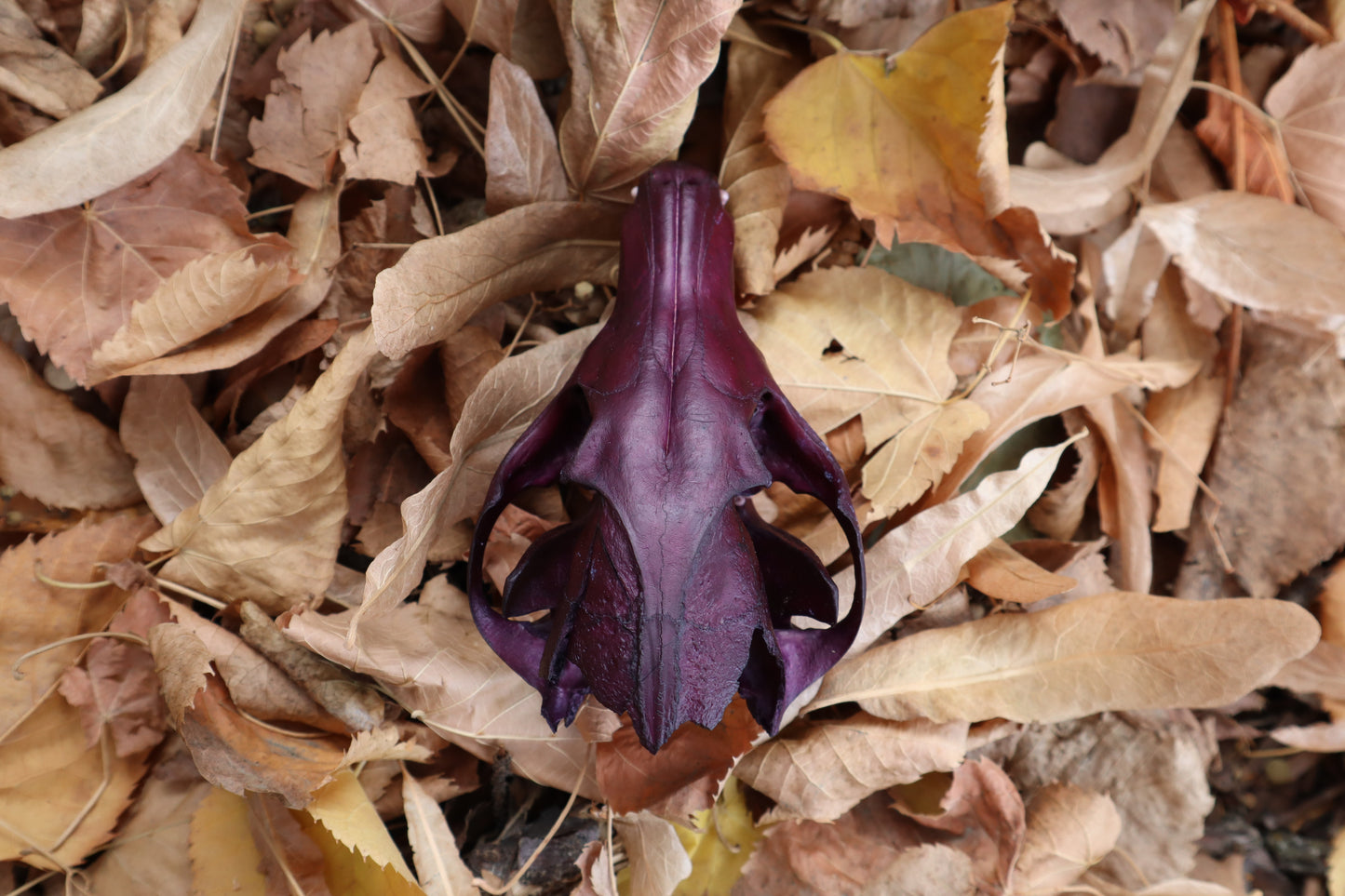 Etheric Violet Red Fox Skull