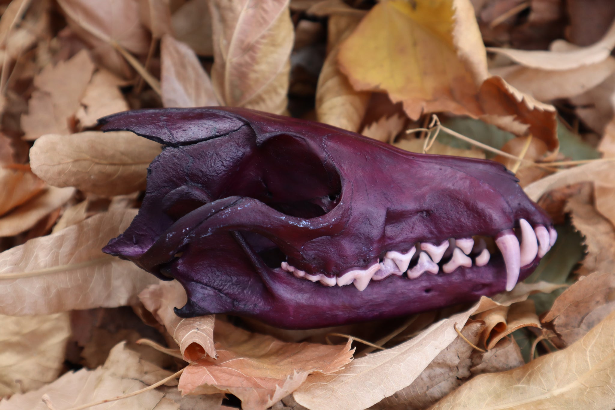 Etheric Violet Red Fox Skull