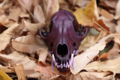 Etheric Violet Red Fox Skull