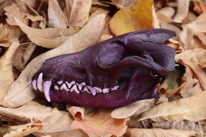 Etheric Violet Red Fox Skull