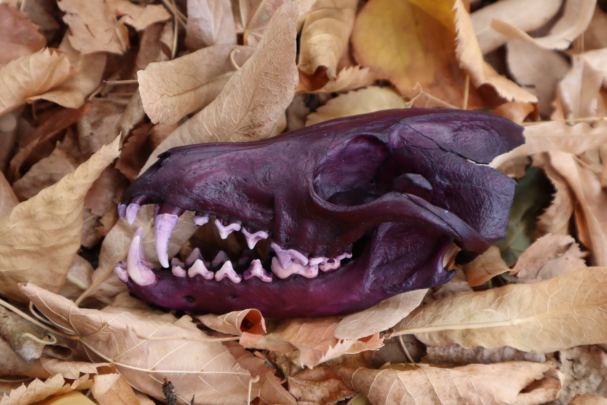 Etheric Violet Red Fox Skull