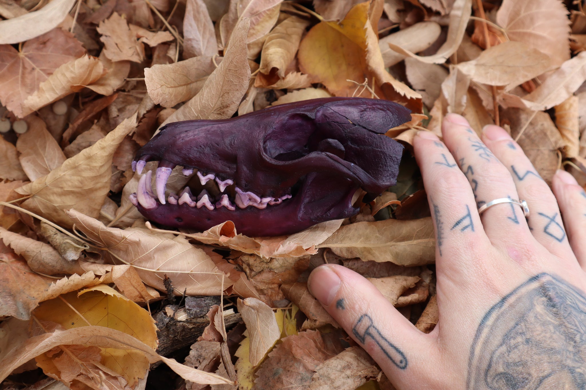 Etheric Violet Red Fox Skull