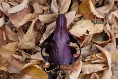 Etheric Violet Red Fox Skull
