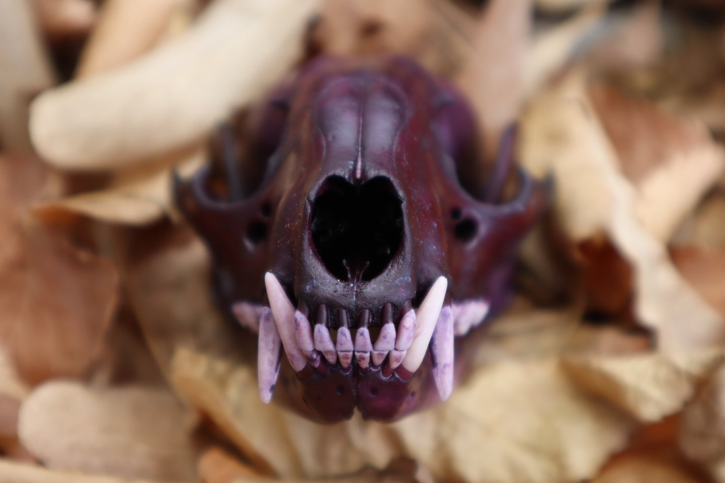 Etheric Violet Raccoon Skull