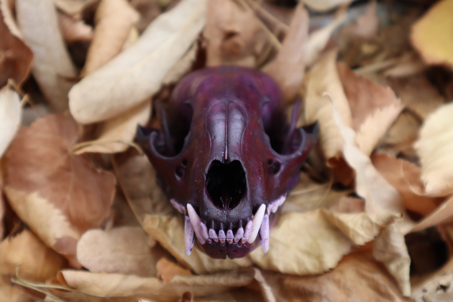 Etheric Violet Raccoon Skull