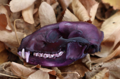 Etheric Violet Raccoon Skull