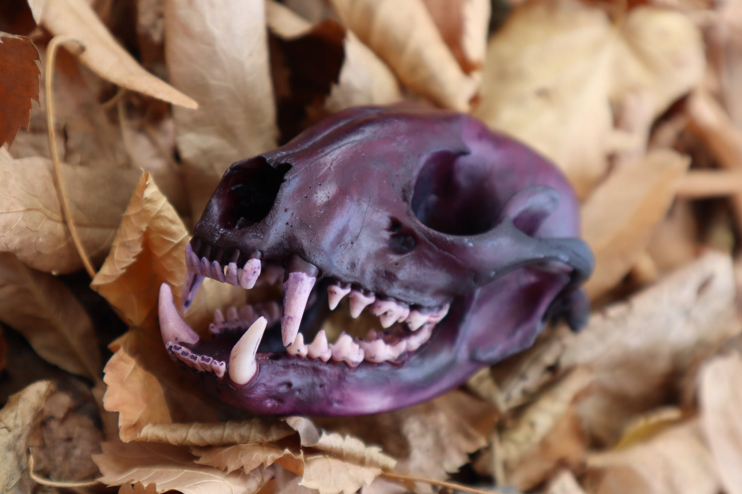 Etheric Violet Raccoon Skull