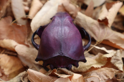 Etheric Violet Raccoon Skull