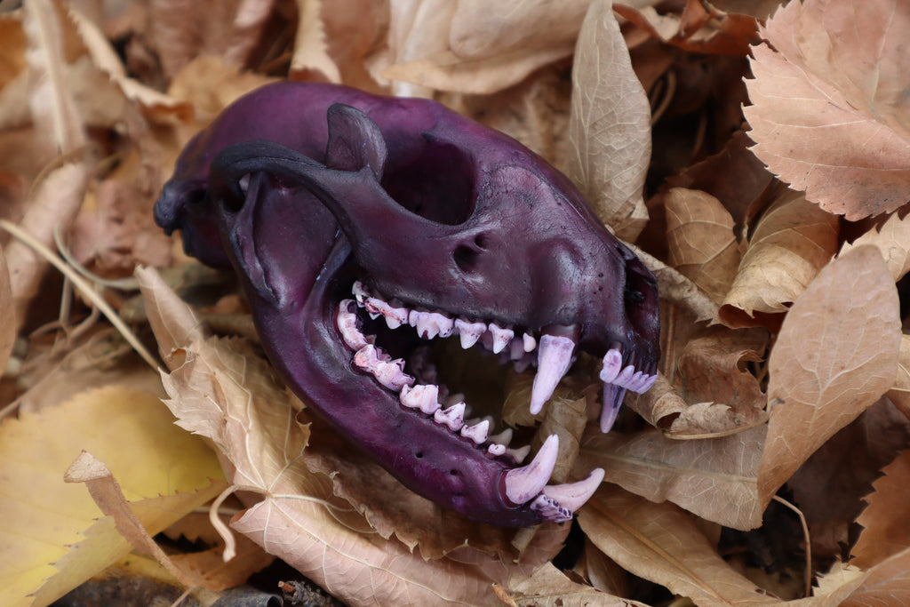 Etheric Violet Raccoon Skull