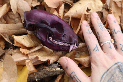 Etheric Violet Raccoon Skull