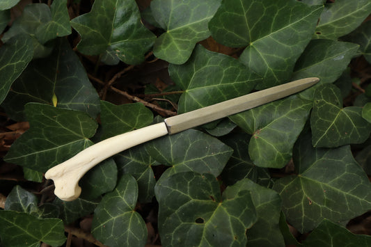 Red Fox Humerus Letter Opener