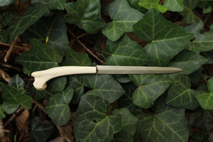 Red Fox Humerus Letter Opener