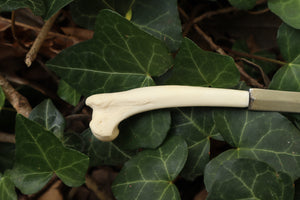 Red Fox Humerus Letter Opener